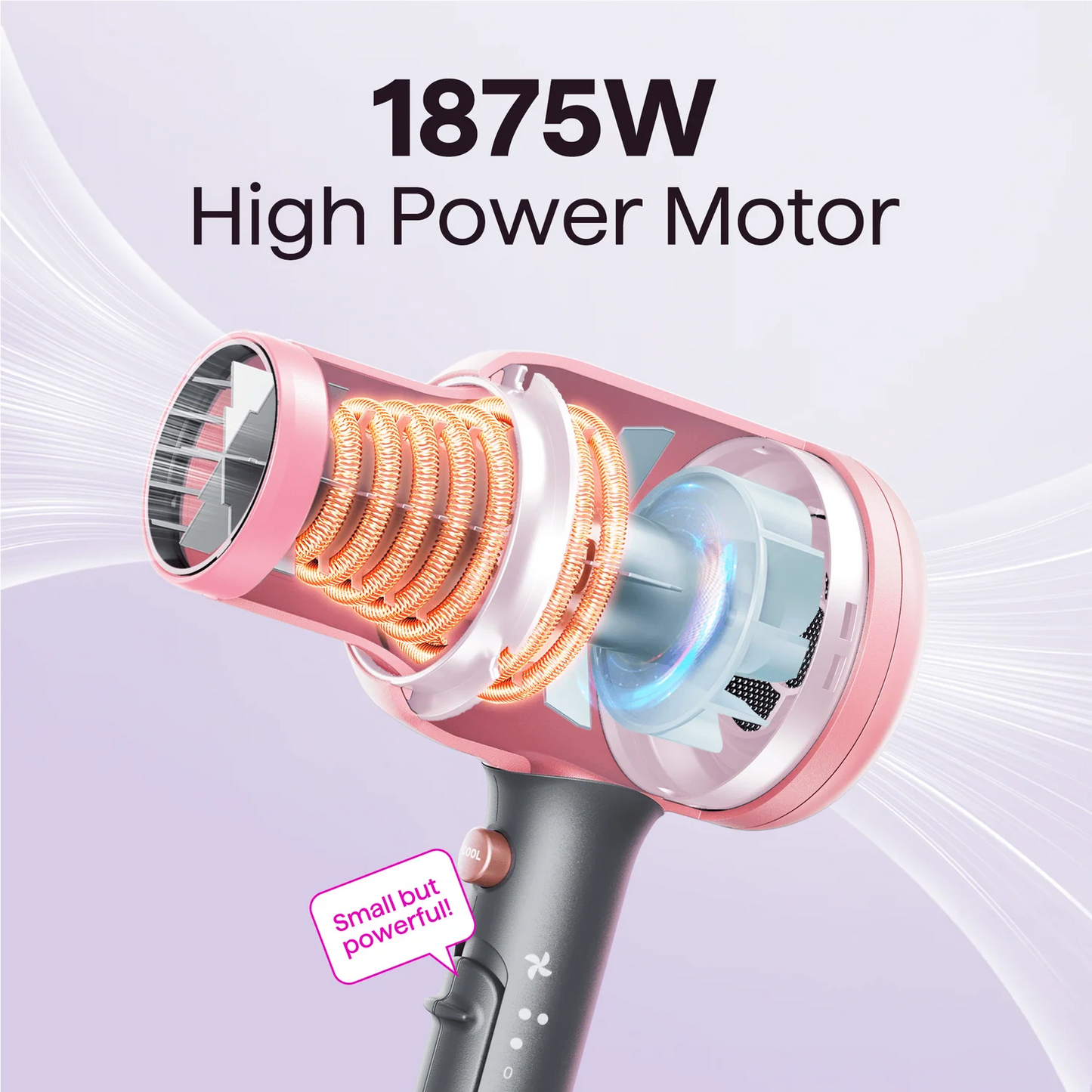 Blown Away Ionic Hair Dryer